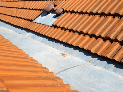 About Leaking Skylight Repair Pros Park City, MT